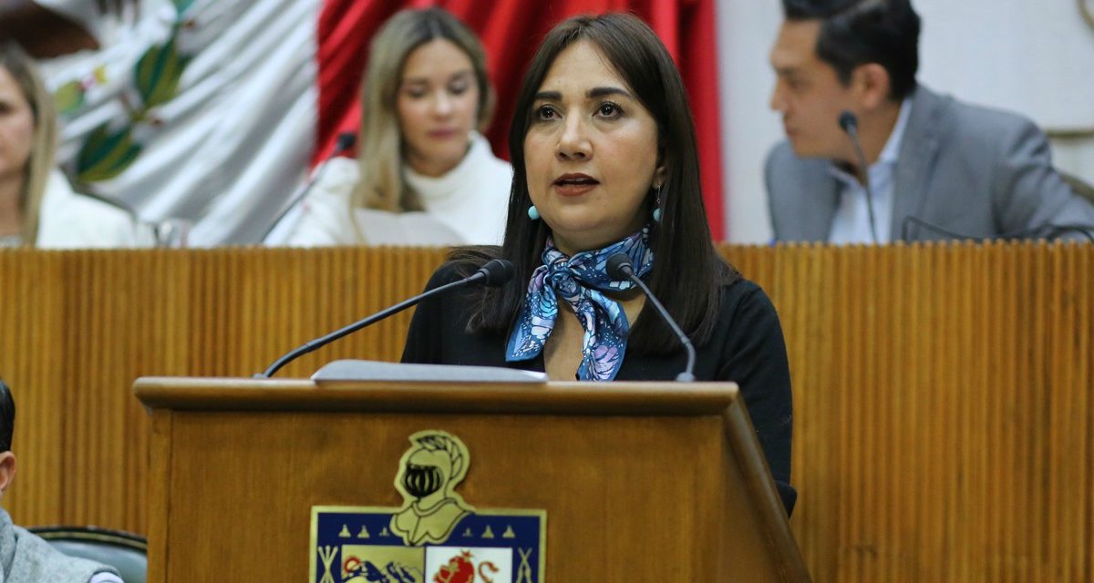 DIPUTADA PIDEN INFORME DE VERIFICACIÓN