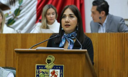 DIPUTADA PIDEN INFORME DE VERIFICACIÓN