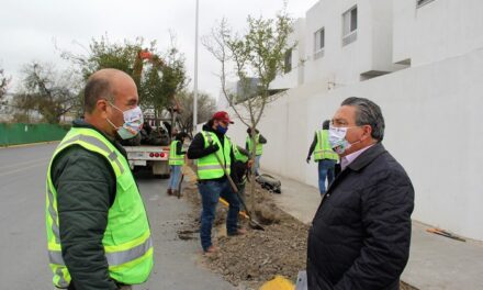 EN APOYO AL MEDIO AMBIENTE, EN ESCOBEDO AVANZA SU PROGRAMA DE REFORESTACIÓN