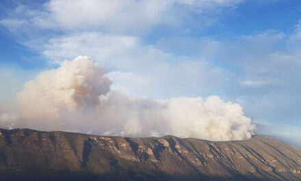 ALERTAN POR INCENDIO EN SANTIAGO