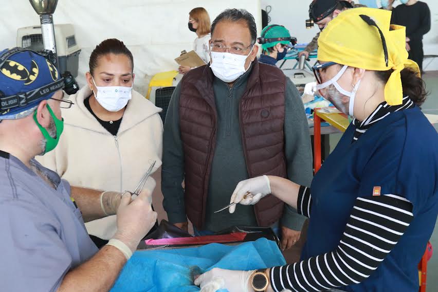 ACTIVAN ESTERILIZACIÓN DE MASCOTAS; BUSCA ESCOBEDO EVITAR SOBREPOBLACIÓN EN CALLES