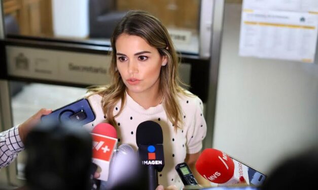 VIOLA GOBIERNO SUSPENSIÓN ASEGURA DIPUTADA