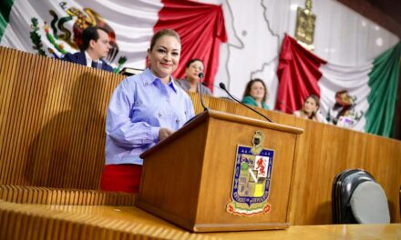 PLANTEA ARMIDA SERRATO GARANTIZAR LA SUPERVIVENCIA DE LOS MENORES