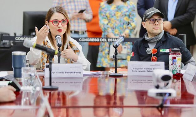 ALERTA ARMIDA QUE REFORESTACION EXTREMA ILEGALIDAD