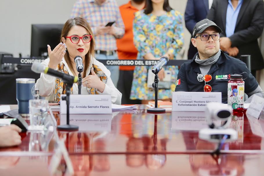 ALERTA ARMIDA QUE REFORESTACION EXTREMA ILEGALIDAD