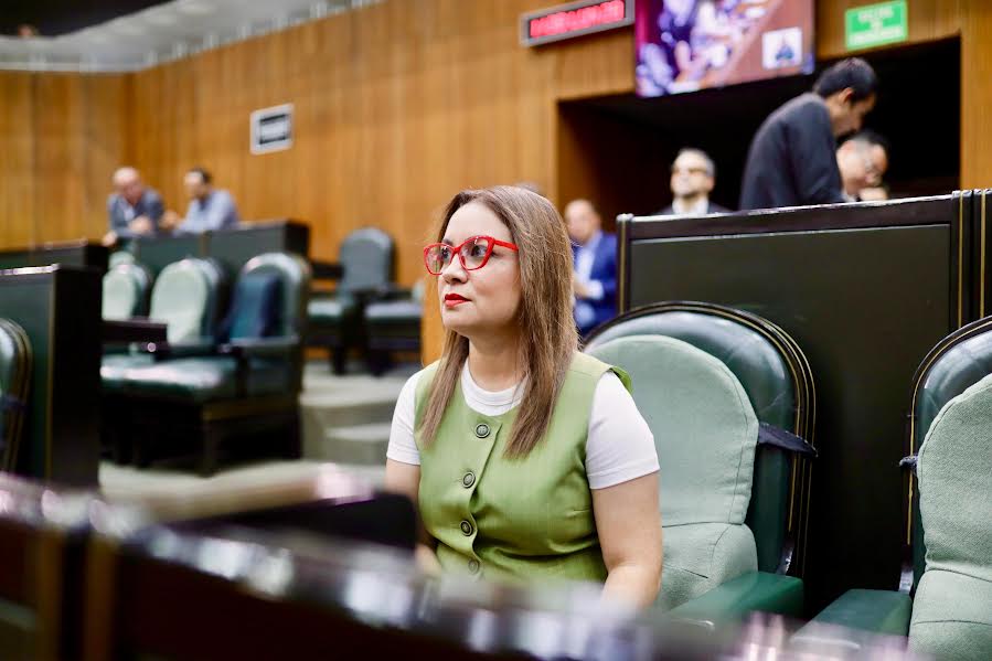 PRESENTA ARMIDA NUEVA LEY DE IMAGEN INSTITUCIONAL
