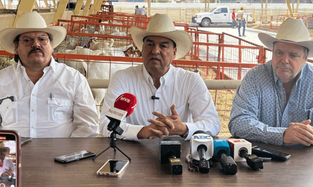 BUSCAN GANADEROS EVITAR PLAGA DE GUSANO BARRENADOR