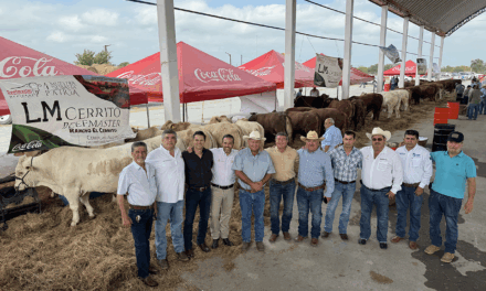 NACE NUEVA ERA DE PROGRAMA DE MEJORAMIENTO GENÉTICO