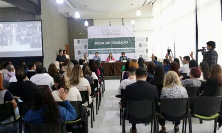 REALIZA PERLA VILLARRREAL PRIMERA PRECONSULTA DE LEY DE EDUCACIÓN