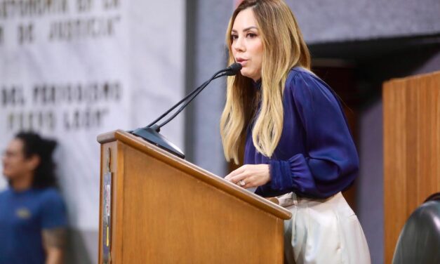 EXIGE PERLA VILLARREAL DETENER OBRA IRREGULAR EN RÍO LA SILLA