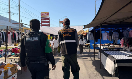 REFUERZA DIVISIÓN AMBIENTAL OPERATIVOS CONTRA VENTA ILEGAL DE PIROTECNIA