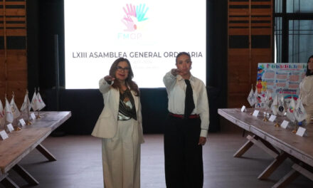 DESIGNAN A SUSANA MÉNDEZ COMO SECRETARIA DE ORGANISMOS PÚBLICOS DE DERECHOS HUMANOS 