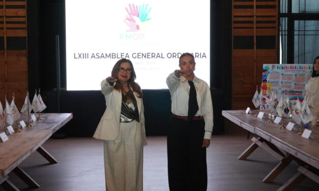 DESIGNAN A SUSANA MÉNDEZ COMO SECRETARIA DE ORGANISMOS PÚBLICOS DE DERECHOS HUMANOS 