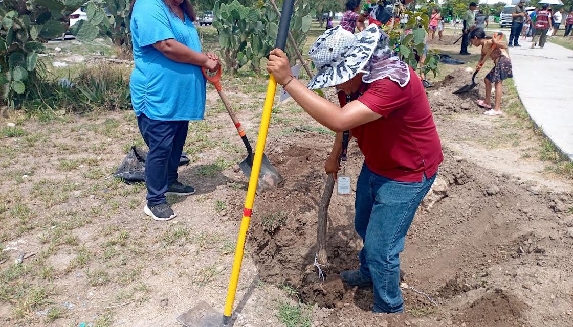 CON PROGRAMA PULMONES COMUNITARIOS SE REAFIRMA COMPROMISO CON LA ECOLOGÍA