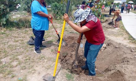 CON PROGRAMA PULMONES COMUNITARIOS SE REAFIRMA COMPROMISO CON LA ECOLOGÍA