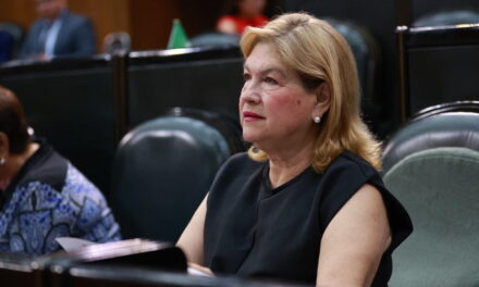 DEMANDA PRI REVISIÓN PERMANENTE DE RIESGOS EN ESCUELAS